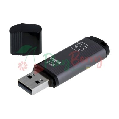 USB Flash Drive T&amp;G 8gb Vega — Photo 1