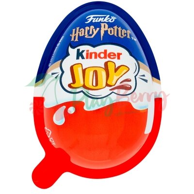 Упаковка Kinder Joy Funko &quot;Harry Potter&quot;, 24 шт — Photo 3